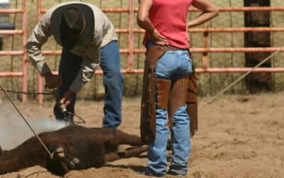Texas Branded Livestock