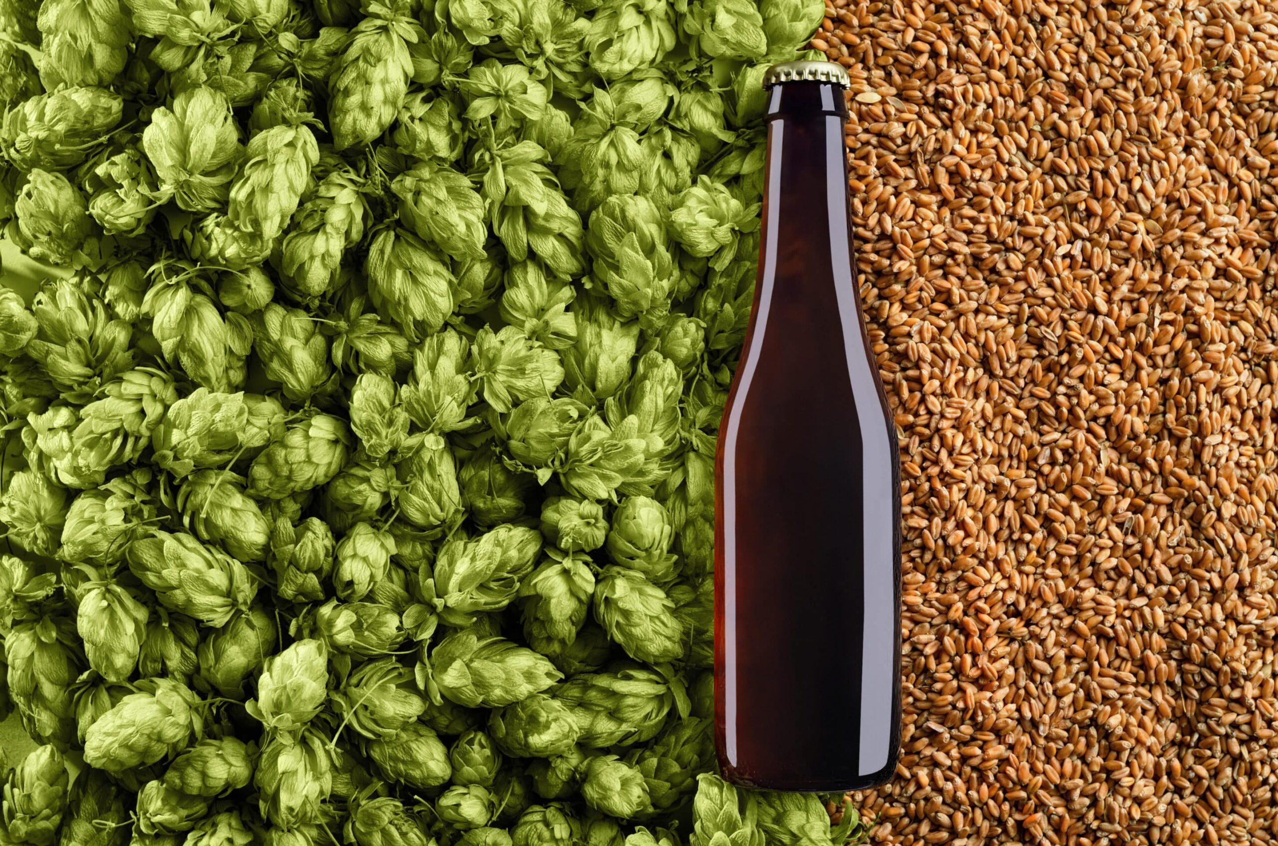 Brewing Beer at Home