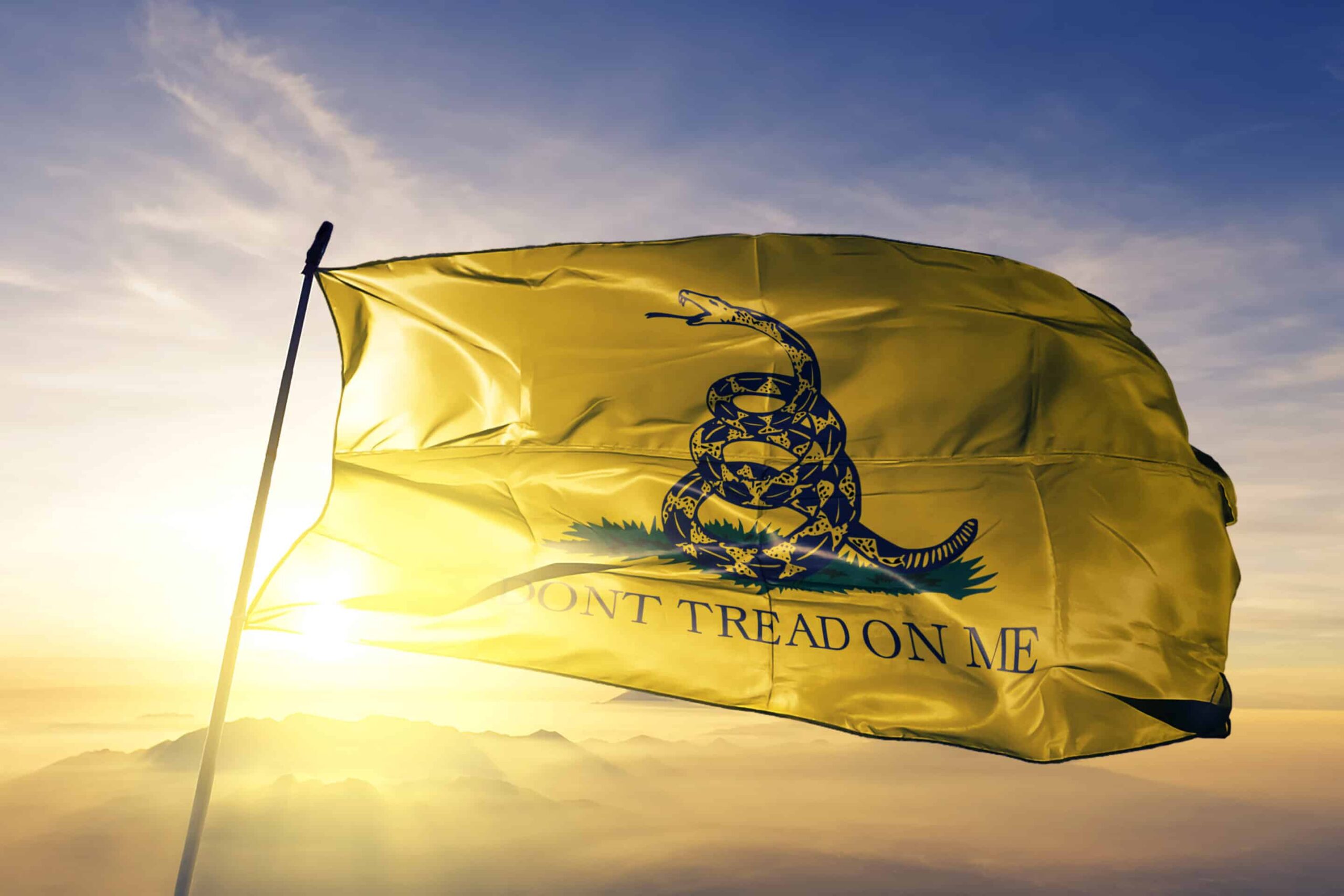 Gadsden flag waving on the top sunrise mist fog unorganized militia