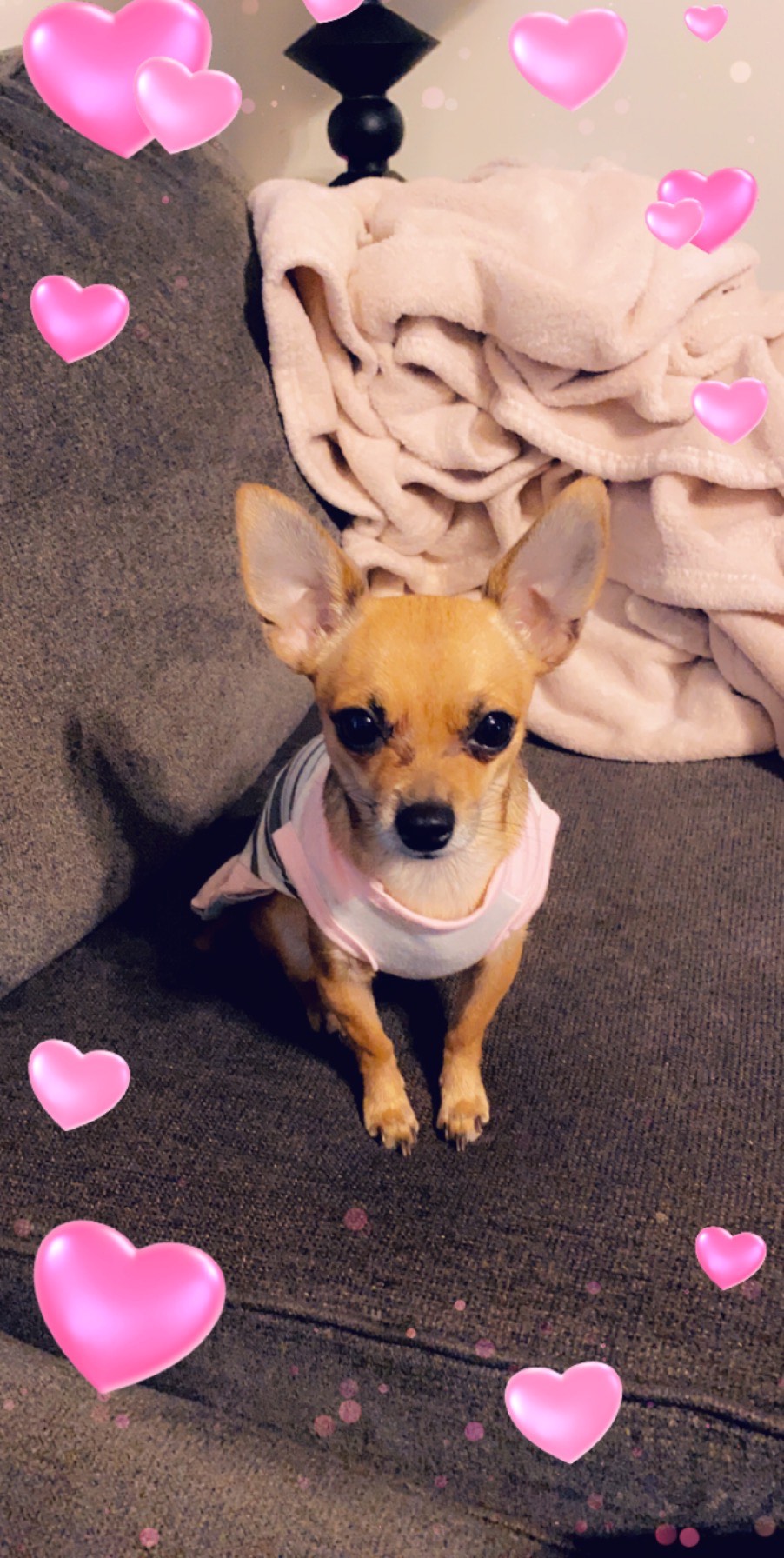 Robyn Taylor Profile 2 Brix Pic